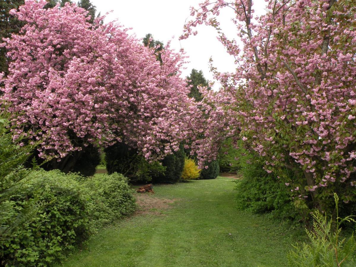 Les Talvasieres Le Mans Luaran gambar